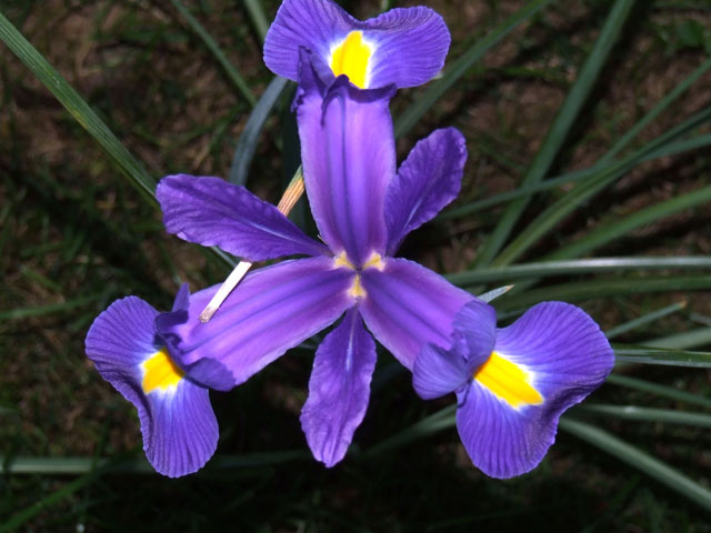 prova1