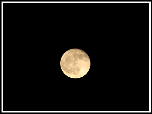 luna milano