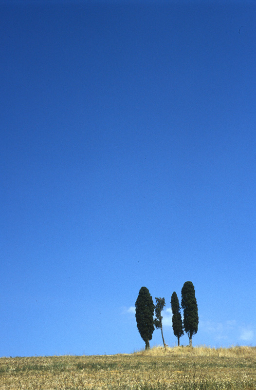 San Quirico D'Orcia