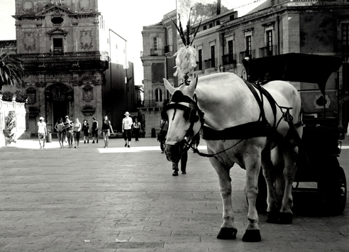 Siracusa in sella.