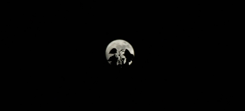 Luna come sfondo