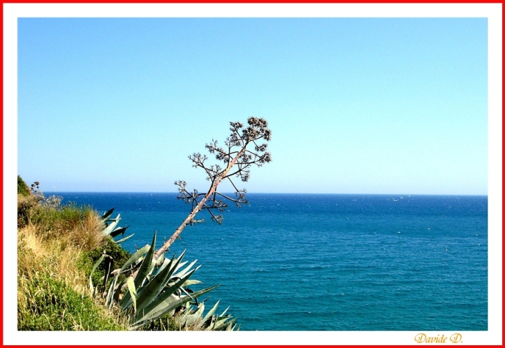 In bilico sul mare