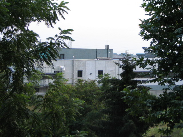 Test zoom 16mm