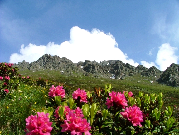 montagna