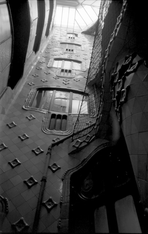 scale