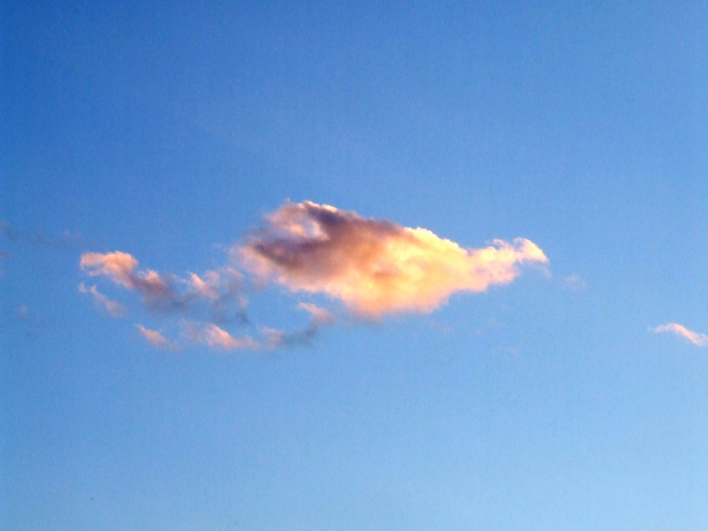 Sogno