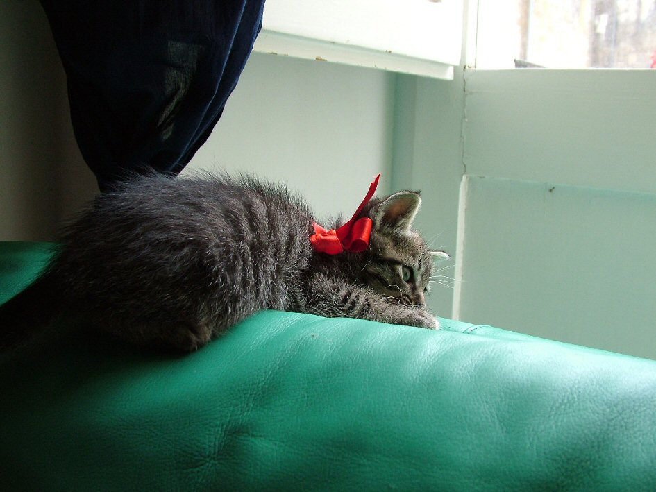 sto pensando................