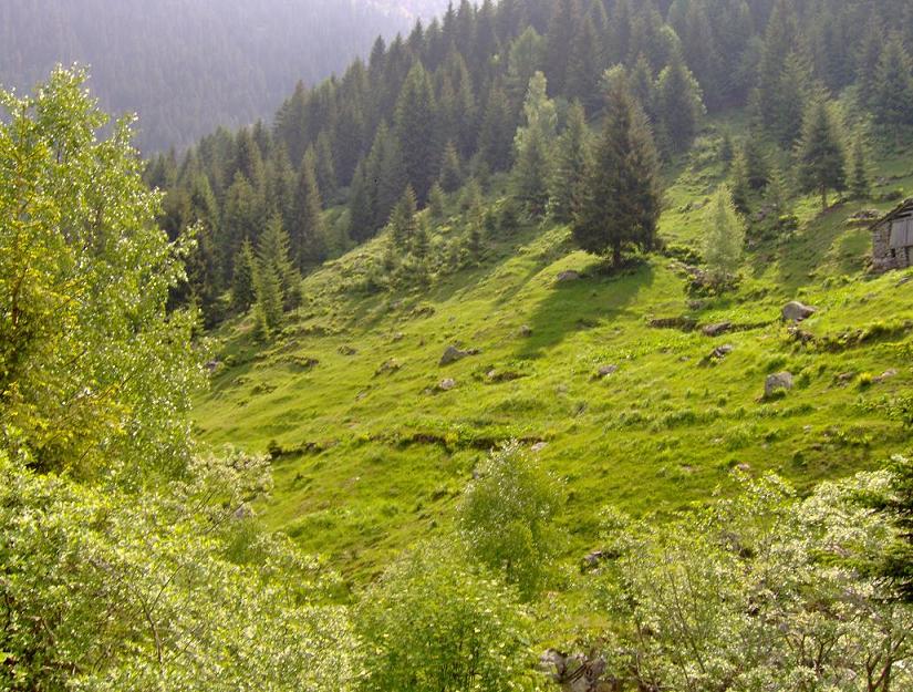 montagna
