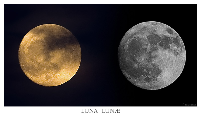 Luna Lun