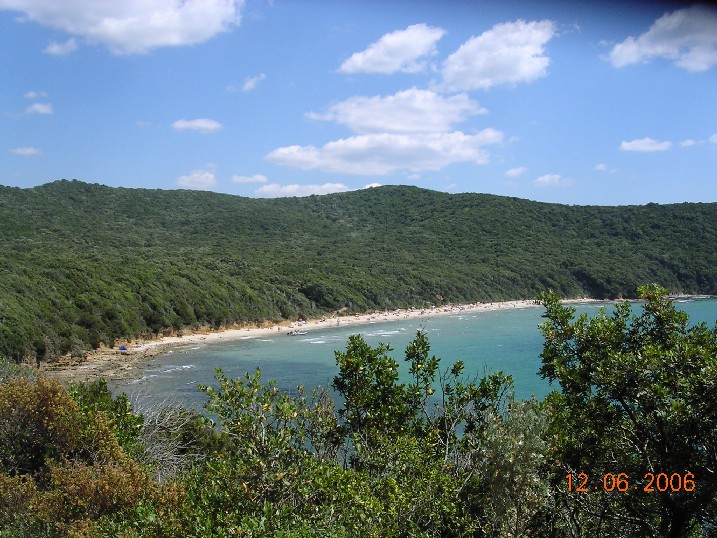 Cala Violina (Grosseto)