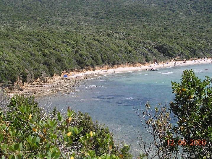 Cala Violina (Grosseto)  12.06.2006