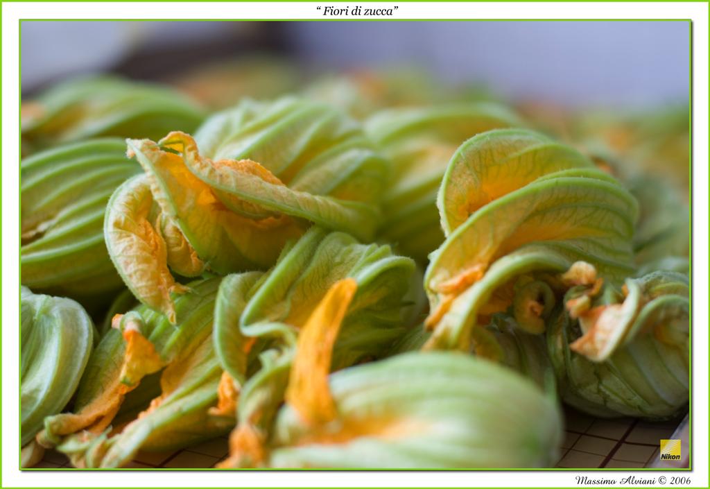 Fiori di zucca