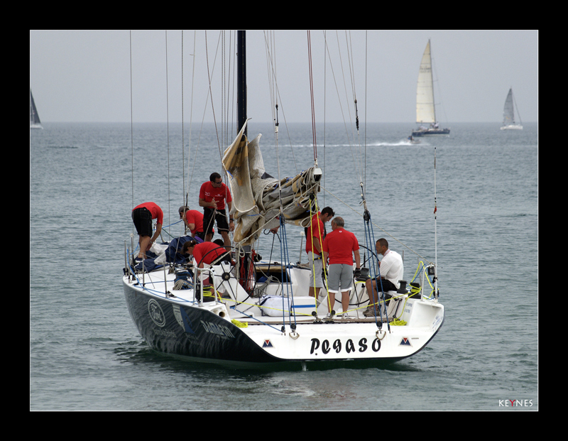 Pegaso