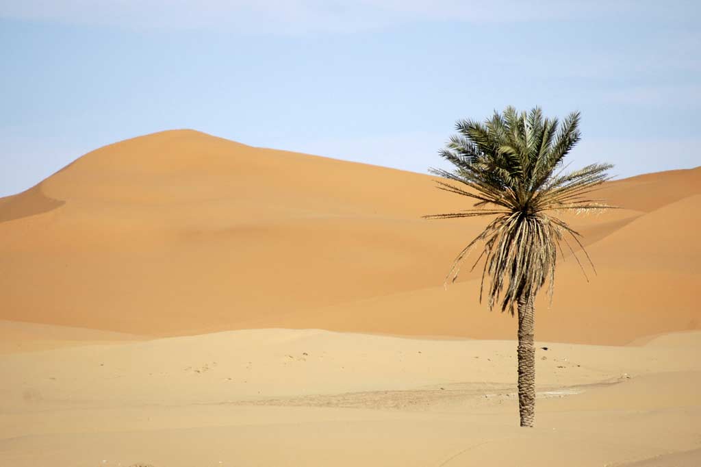 Merzouga