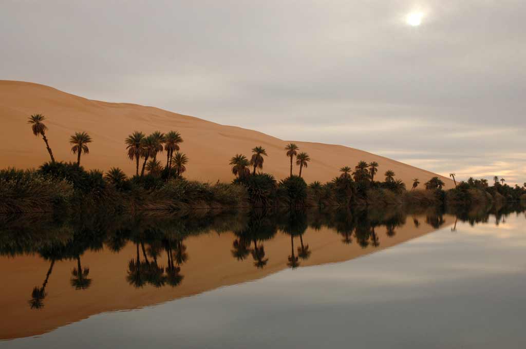 Riflessi