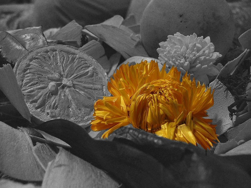 Giallo caldo