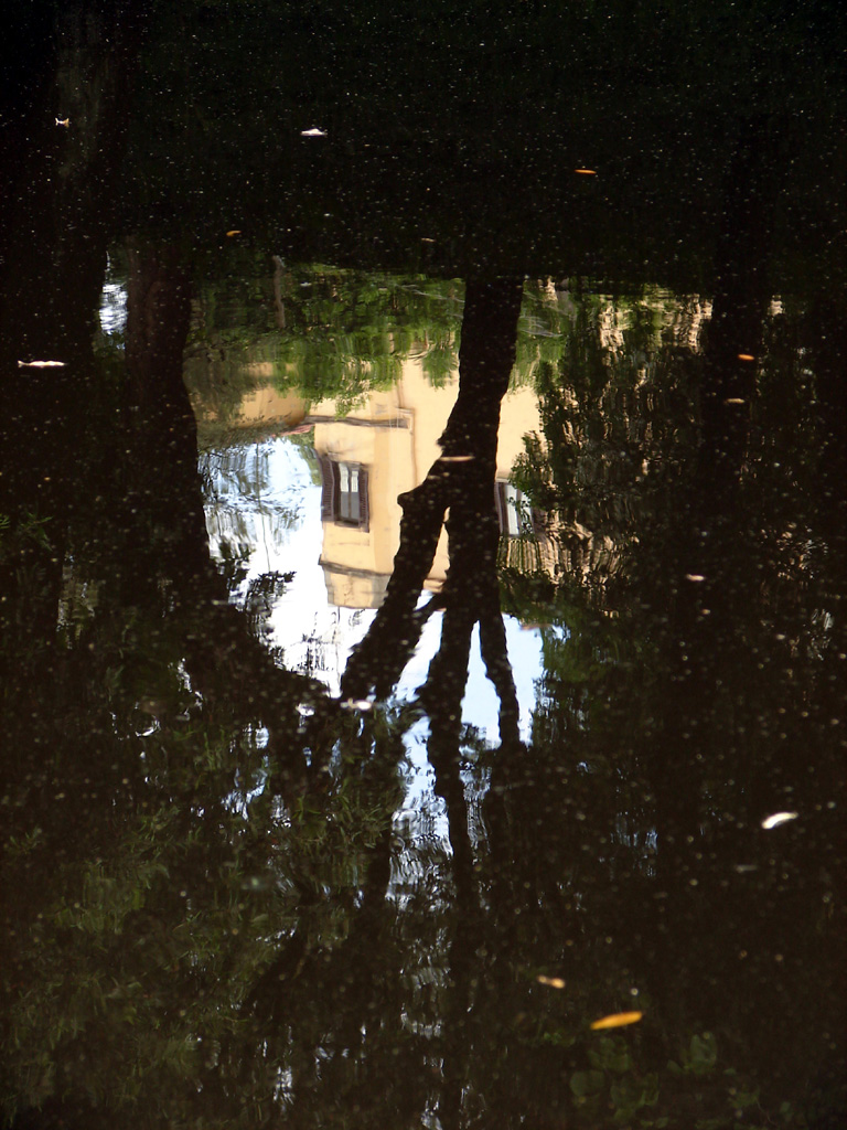 glimpse