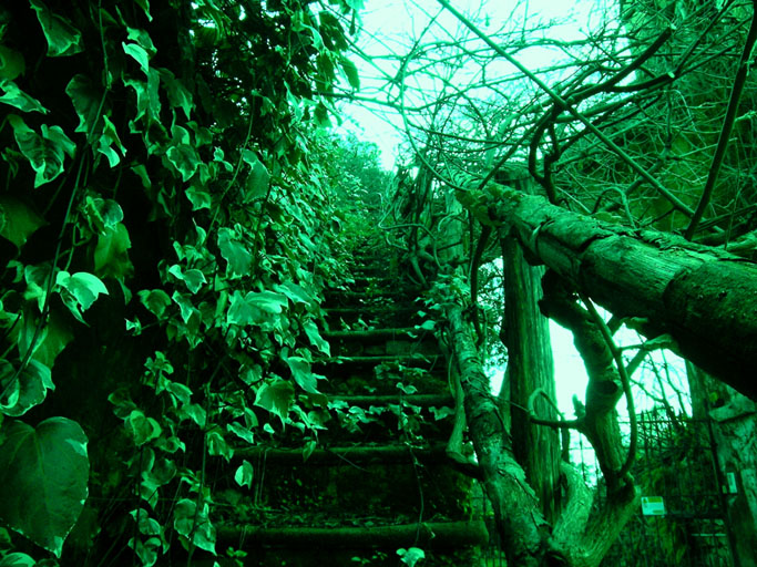la natura vince