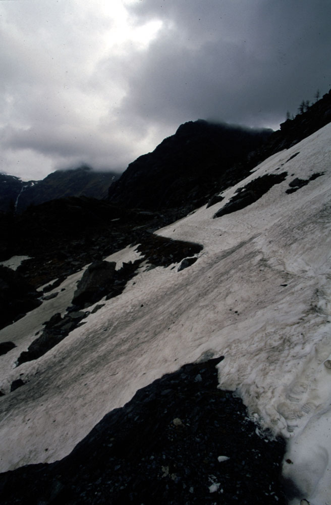 Sentiero innevato