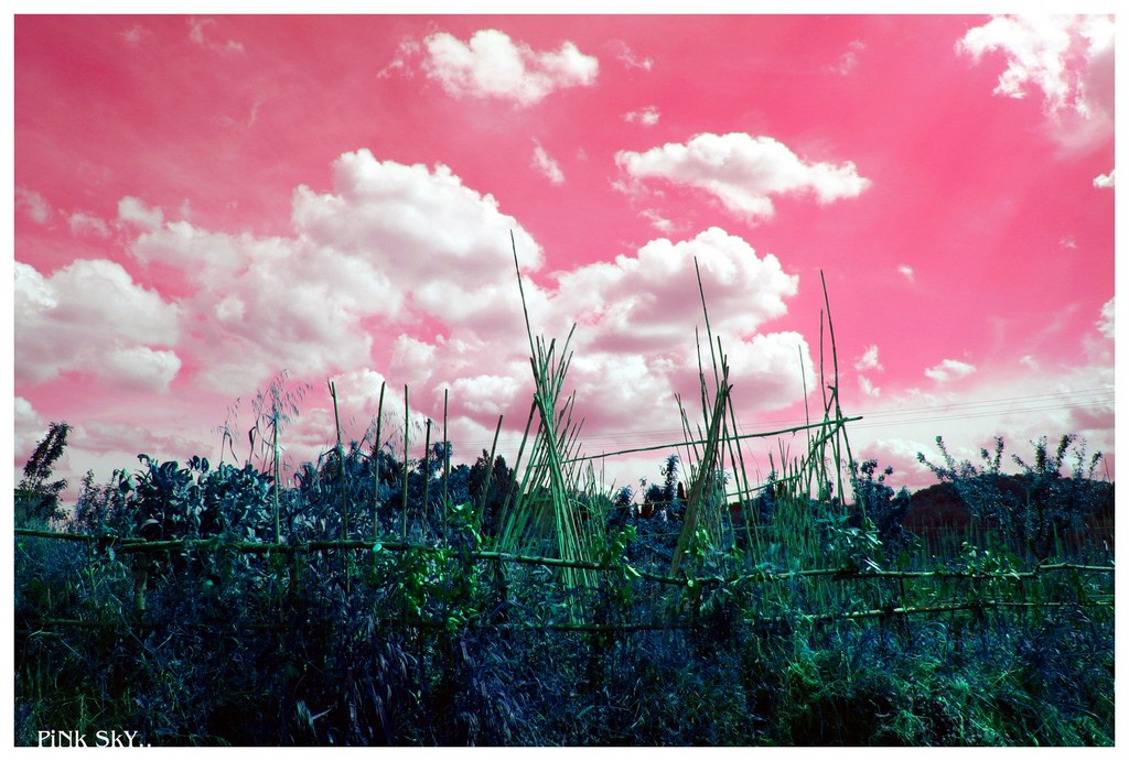 pink sky
