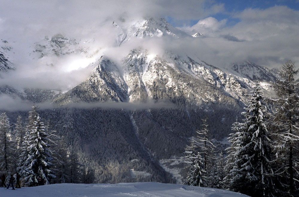 neve fresca