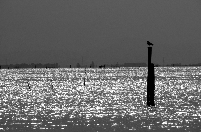 da solo sul mare