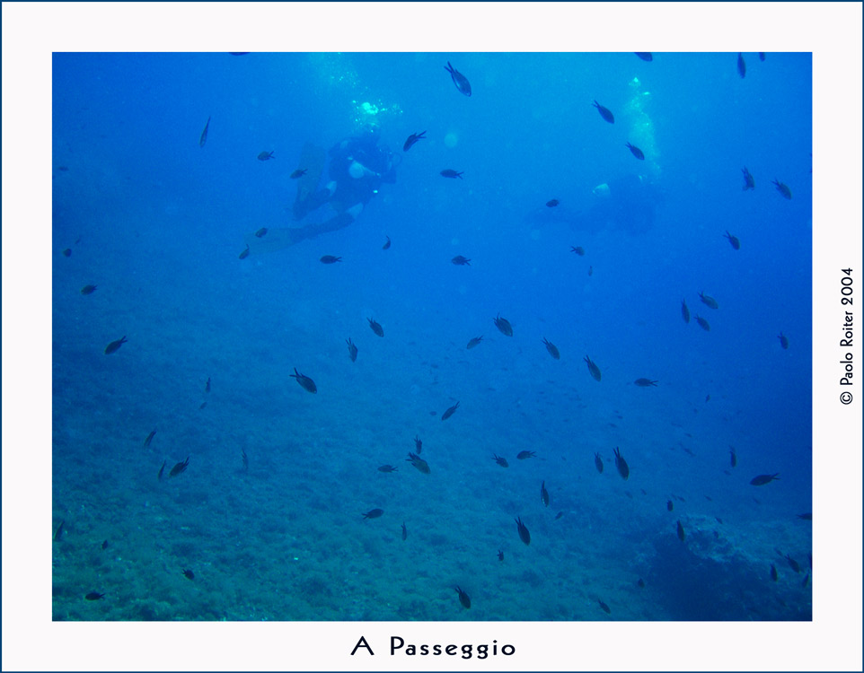 Passeggiando sott'acqua