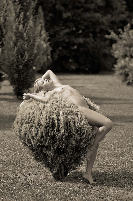 Al sole