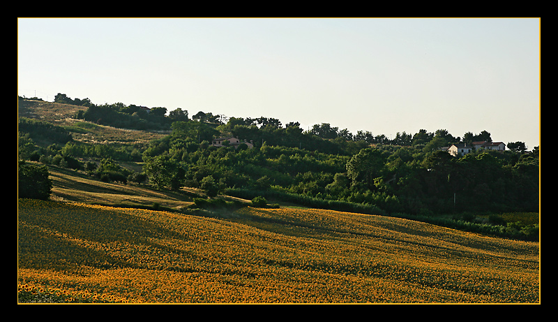 giallo-verde