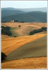 Orciano Pisano