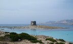 La torre della Pelosa, vista dalla spiaggia.
Sullo sfondo, l'isola Piana e poi l'Asinara.

Purtroppo, in 10 giorni di Sardegna, nn ho mai beccato una giornata di cielo limpido...