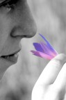 profumo colorato