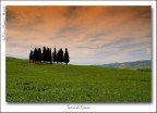 Siena