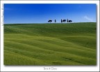 Siena