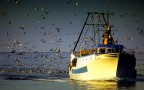 dopo la pesca