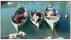 pesca_01