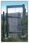 porta.....