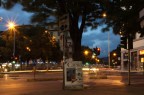 viale di sera viale di sera