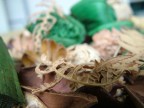 Macro e Pout Pourri 1