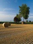 Campagna