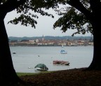 Arona