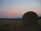 Stasera in campagna