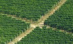 Langhe