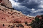Zion National Park