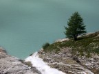 solitario