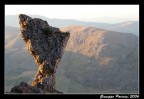 In equilibrio