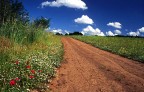Verso  la primavera