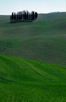 Ancora pioppi