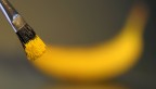 ho cercato di simulare, tenendo una banana sullo sfondo completamente sfocata rispetto al pennello, la fase di pittura di un quadro.