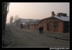 Verso la Libert